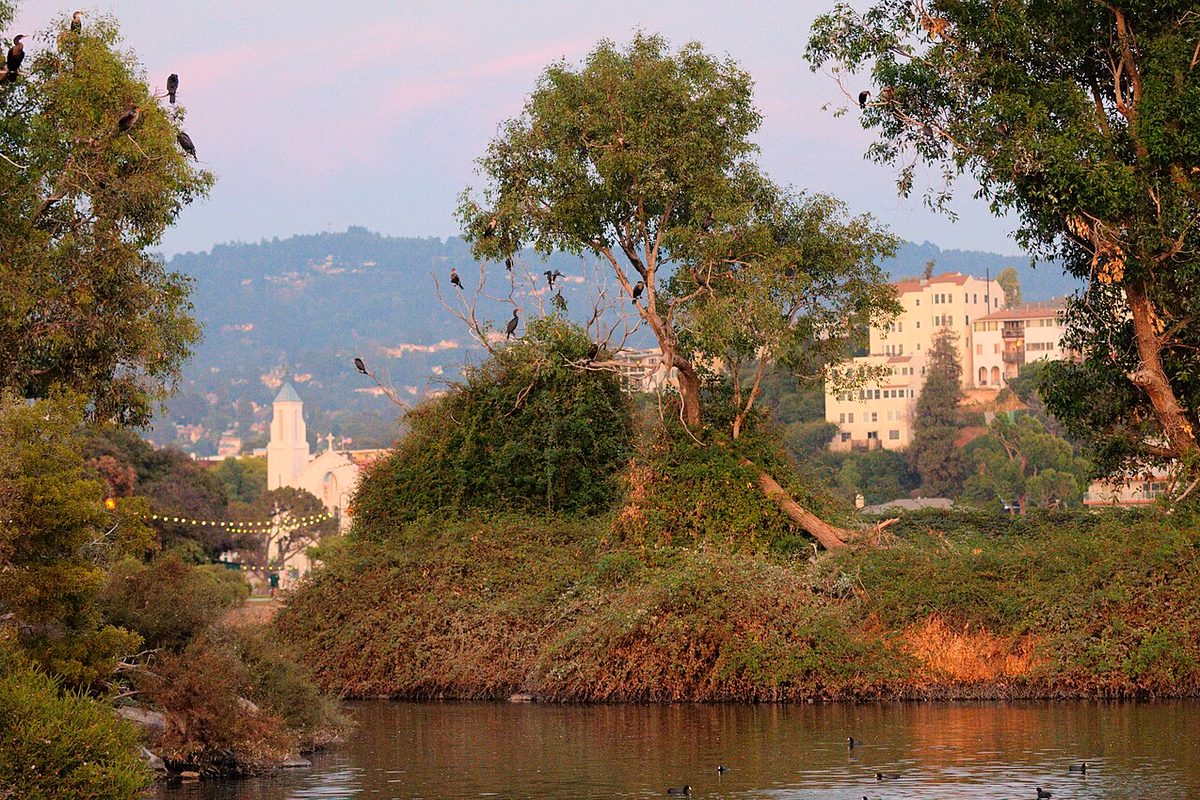 Lake Merritt's bird sanctuary island and Oakland hills at sunset