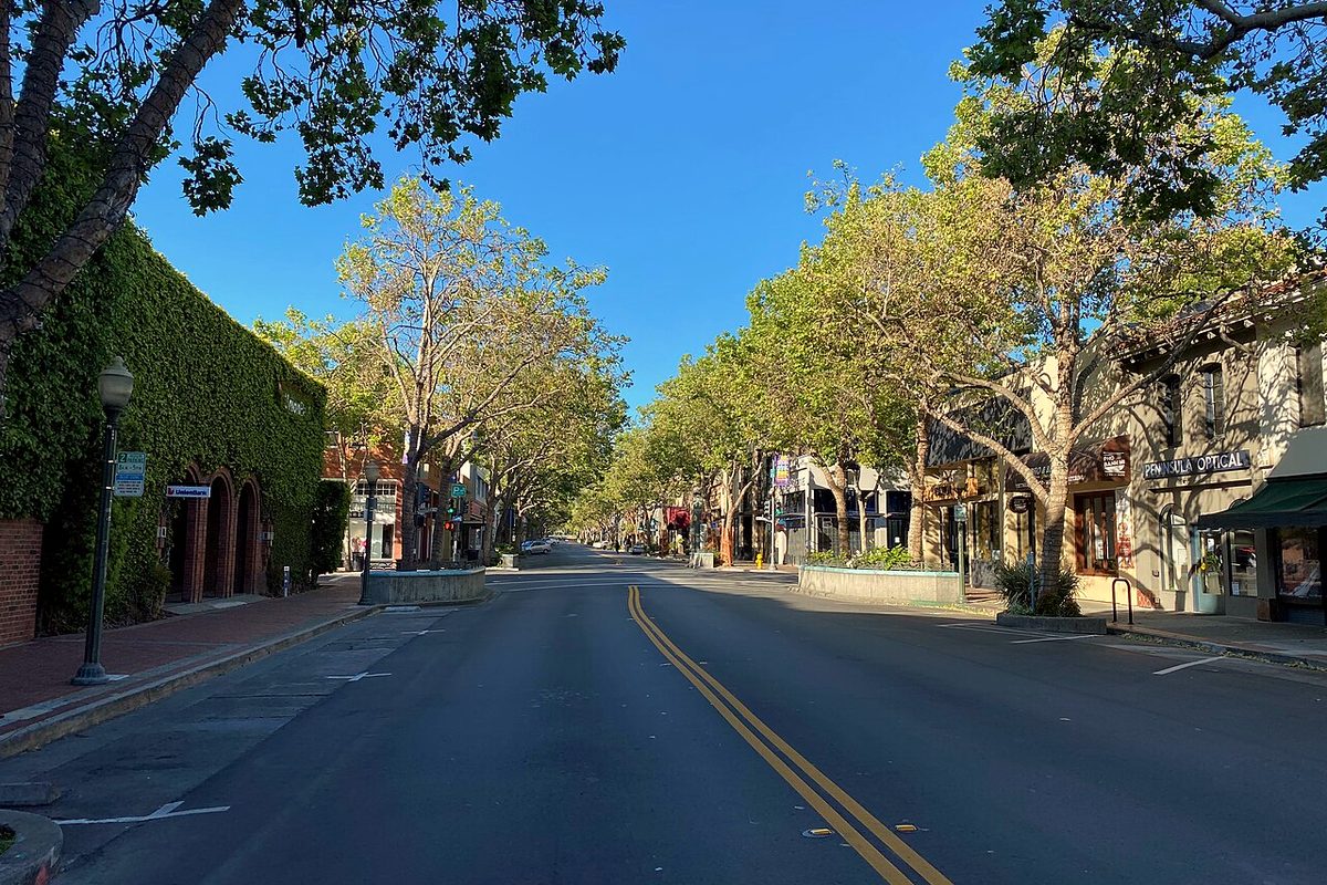 Tree-lined University Avenue in downtown Palo Alto on a sunny morning