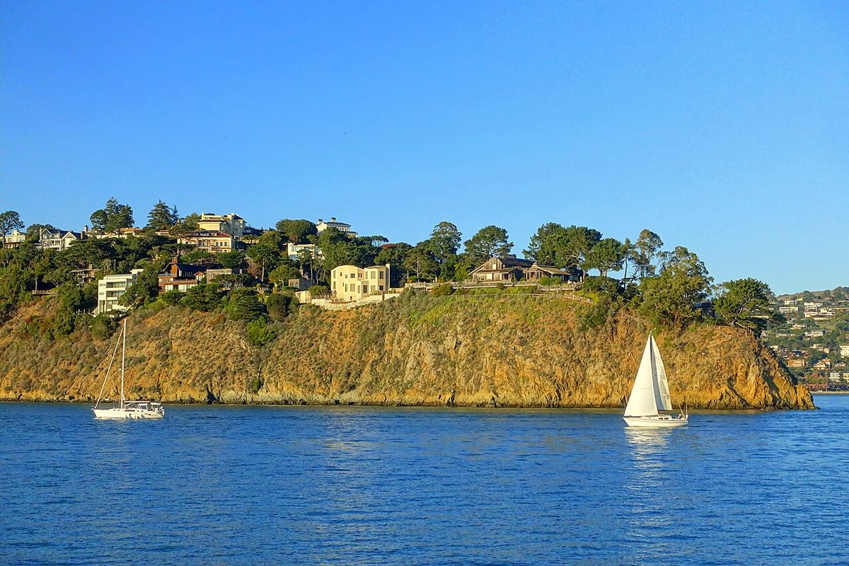 Sailboats on Richardson Bay below the Sausalito hillside on a sunny day